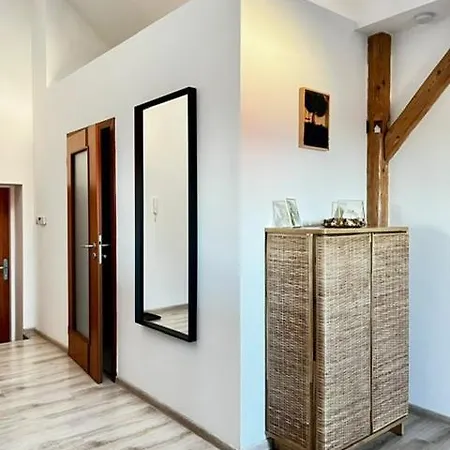 公寓 Anezka, U Ostravar Areny 俄斯特拉发