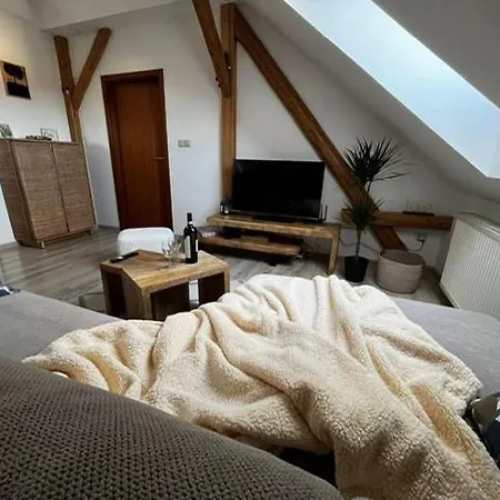 Anežka, U Ostravar Arény Apartamento *