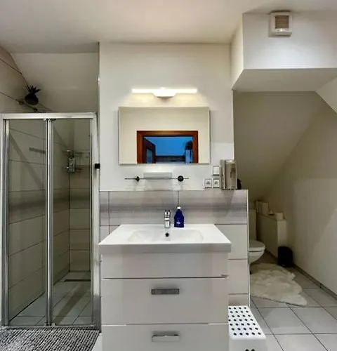 Apartment Anezka, U Ostravar Areny *