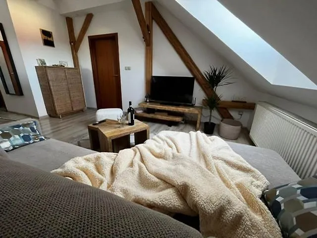 Anežka, U Ostravar Arény Appartement *