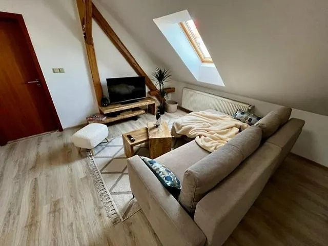 Appartement Anežka, U Ostravar Arény *